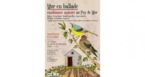 mur en ballade affiche 2014